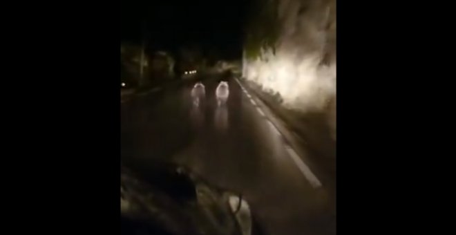 Captura del vídeo de la persecución a dos osos pardos en una carretera de Cantabria.