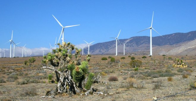 Parque eólico de Avangrid Renewables, la filial de Iberdola en EEUU.
