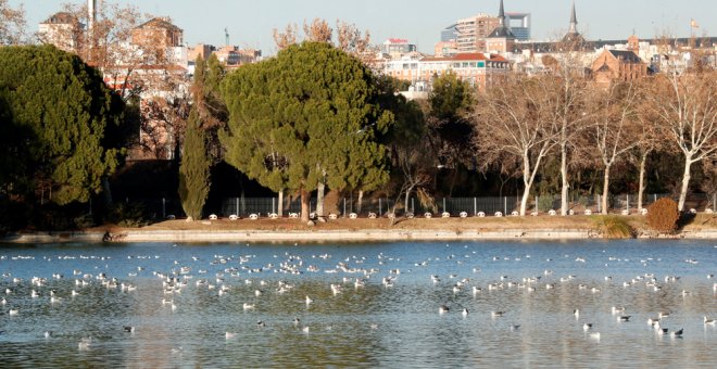 El Ayuntamiento de Madrid comienza las obras para vaciar el lago de la Casa de Campo. EFE