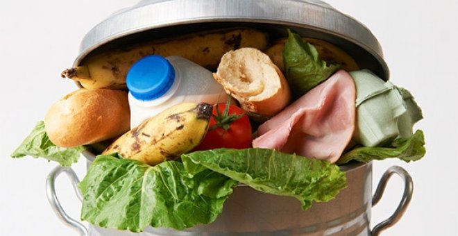 Las familias españolas desperdician 604 millones de kilos de alimentos cada año. EFE Magrama