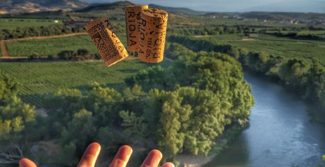 Los trazados del TAV que plantea Fomento acabarían con los viñedos de la Rioja Alavesa. BLOG RIOJA ALAVESA