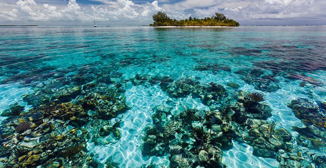 Barrera de coral de Belice.