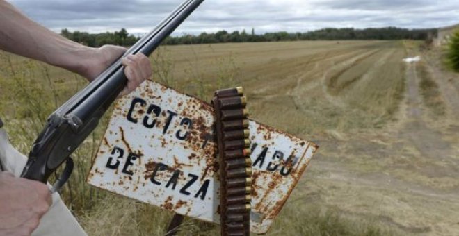 Una escopeta y su canana en un coto de caza. EFE/Archivo