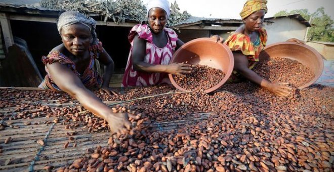 Trabajadoras del cacao en Djangobo, Costa de Marfil. / REUTERS