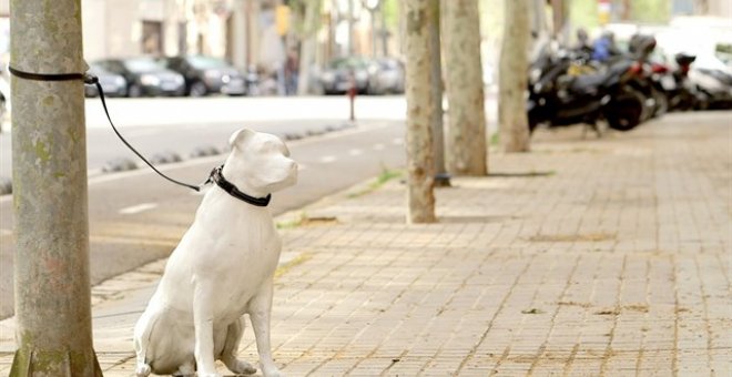 Una de las estatuas que ha distribuido el consistorio.- AJUNTAMENT DE BARCELONA