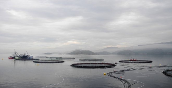 Piscifactoría para la cría de salmones de la firma noruega Leroy, en la bahía de Hitra, cerca de Trondheim. AFP/Céline Serrat