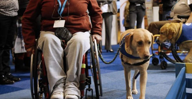 Una mujer discapacitada en silla de ruedas participa en una sesión de capacitación con un perro guía. AFP PHOTO