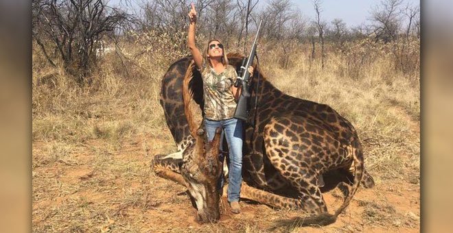 Tess Thompson Talley, una mujer estadounidense que estaba de viaje en África del Sur, se fotografía tras cazar un ejemplar de jirafa hembra. / @africlandpost