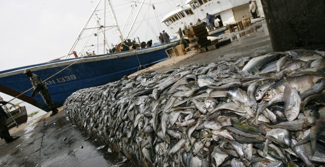 El 33% de las especies de peces comerciales están sobreexplotadas. AFP