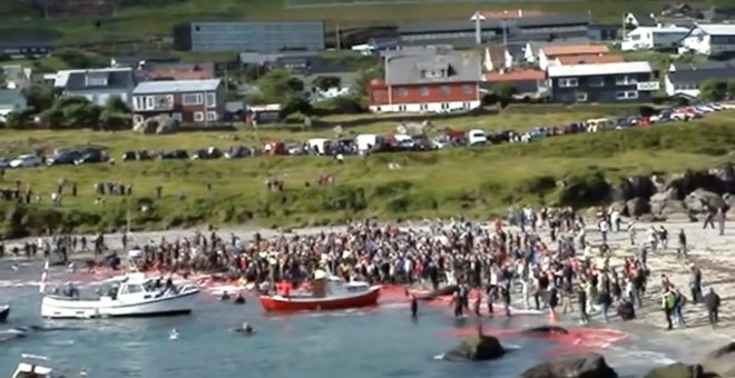 Grindadráp, la cruel matanza de ballenas de las Islas Feroe. YOUTUBE/Archivo