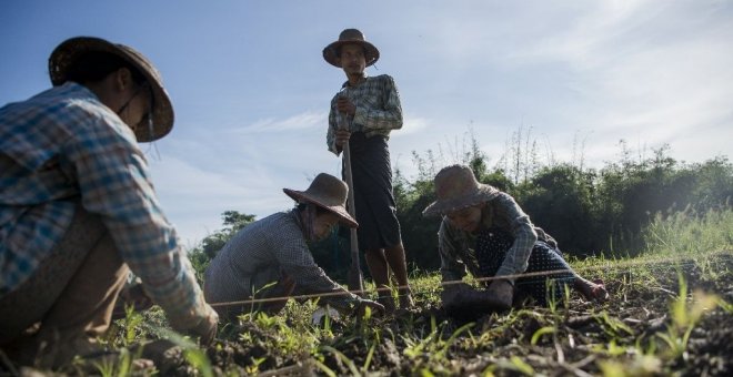 Cultivos. AFP Photo/Ye Aung Thu