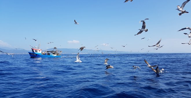 Un pesquero rodeado de aves en aguas de Mataró. LUCÍA VILLA