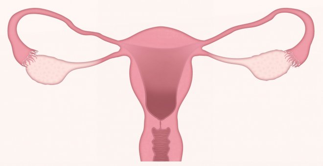 La Generalitat impulsa un model pioner d’atenció a l’endometriosi