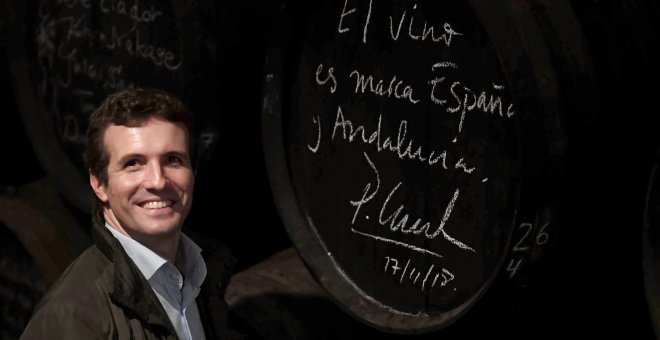 El presidente del PP, Pablo Casado, durante la visita a la bodega Lagar Blanco, entre las sierras de Montilla y Castro del Río, en Córdoba. EFE/ Rafa Alcaide