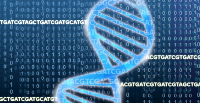 Representación de la cadena de ADN que forma los genes./EMBL