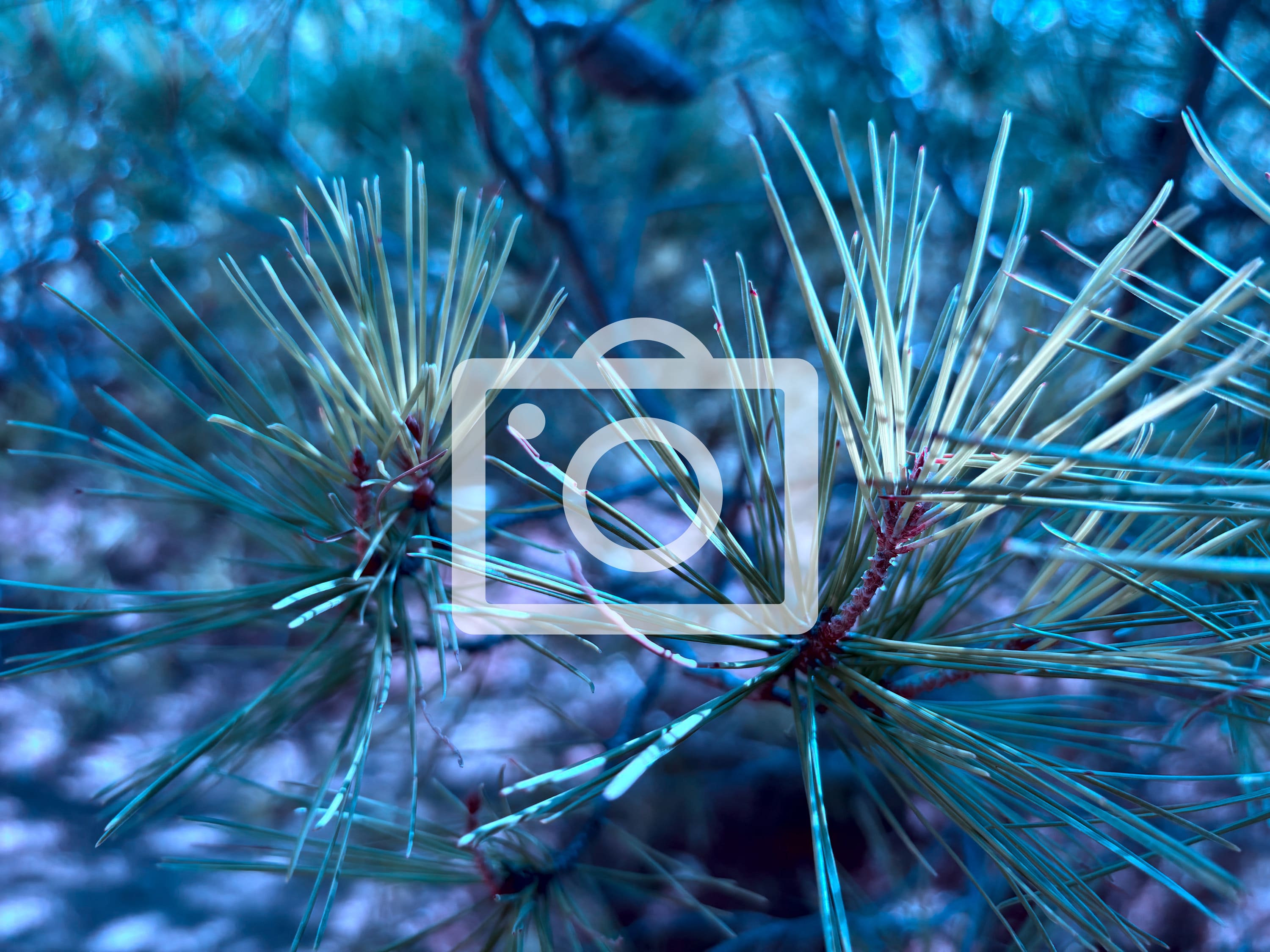 Fotografía del Sea Watch. Fuente: Twitter de @seawachtcrew