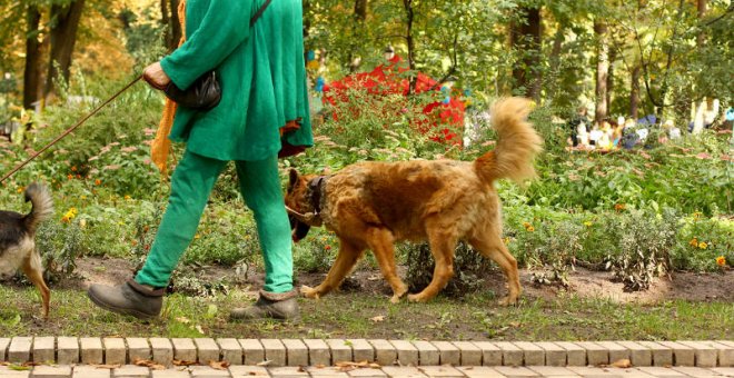 Perros paseando