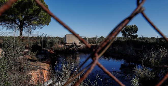 Balsa de riego ilegal construida cerca de algunos de los 77 pozos que la Confederación Hidrográfica del Guadalquivir (CHG) prevé cerrar. EFE/José Manuel Vidal