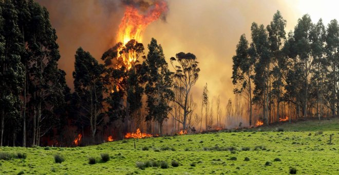 Incendio en las proximidades de Naves (Llanes) | EFE/ José Luis Cereijido