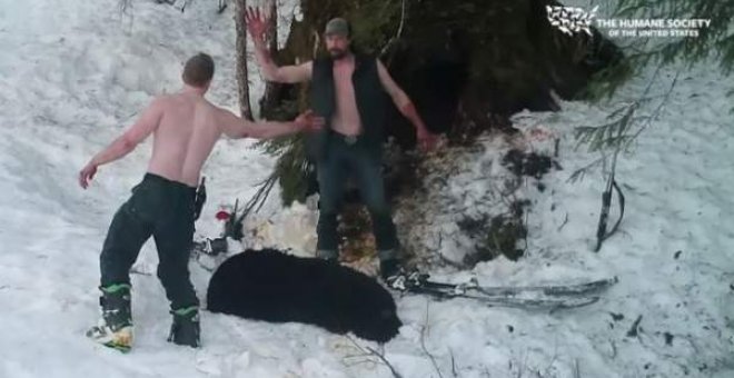 Padre e hijo se felicitan tras matar de forma ilegal una osa en Alaska/ THE HUMANE SOCIETY