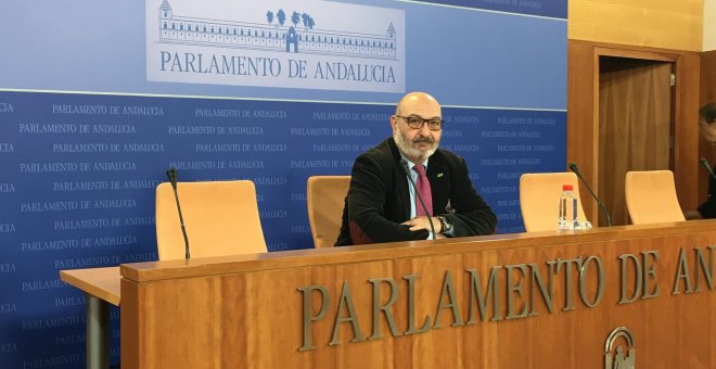 Alejandro Hernández, portavoz de Vox en el Parlamento de Andalucía. Europa Press