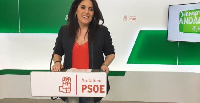 Ángeles Férriz, portavoz del PSOE de Andalucía.