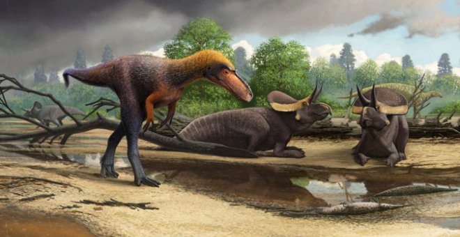 La especie de tiranosauroide Suskityrannus hazelae vivió hace 92 millones de años durante el Cretácico Medio / Andrey Atuchin