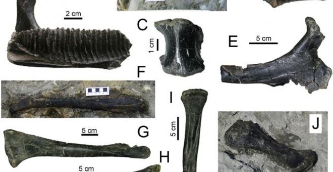 Un grupo de paleontólogos descubre en Lleida el yacimiento de dinosaurios más moderno de Europa. Ángel Galobart