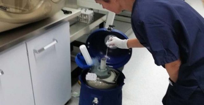 Fotografía facilitada por Dexeus Mujer que junto a la Universidad Politécnica de Cataluña (UPC) han demostrado que el semen congelado mantiene su viabilidad en condiciones de ingravidez en el espacio. (EFE)