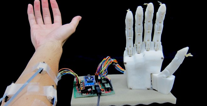 Imagen de la mano robótica.  [Furui et al., Sci. Robot.]