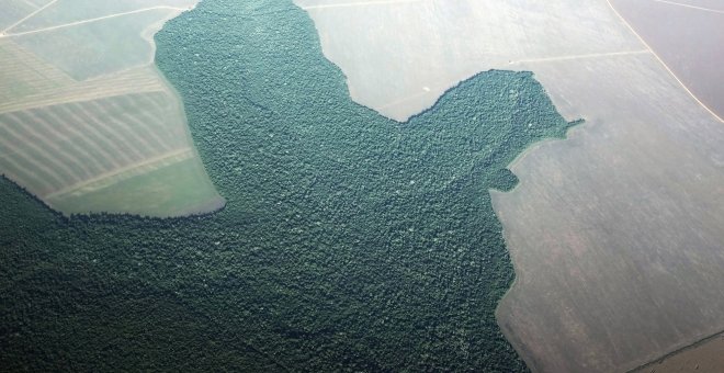 Vista general de la tala de árboles en el Amazonas. REUTERS