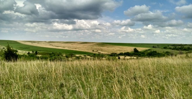 Pradera en la Estación Biológica Konza Prairie en el noreste de Kansas / Kim Komatsu