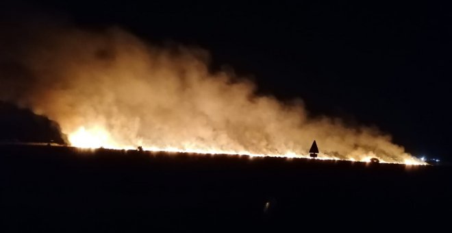 Incendios en Doñana. Ecologistas en acción