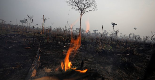 Una zona del incendio en el Amazonas en Boca do Acre (Brasil). /REUTERS