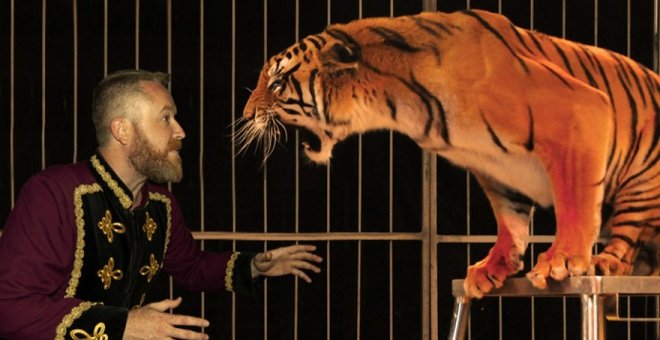 : Las ordenanzas municipales de Zaragoza prohíben el circo con animales de cualquier clase en la ciudad pese a que la ley autonómica sí tolera los salvajes no autóctonos.