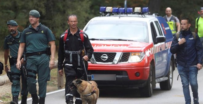 Los perros que participan en la búsqueda de Blanca Fernández Ochoa, este lunes. EFE/ Kiko Huesca