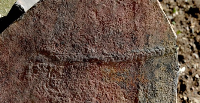 Rastro fosilizado del animal Yilingia spiciformis, que data de hace 550 millones de años. El rastro fue encontrado en China. / Virginia Tech College of Science