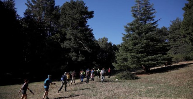 04/09/2019.- Voluntarios trabajan en la búsqueda de la esquiadora Blanca Fernández Ochoa, desaparecida desde el pasado día 23, este miércols en la sierra de Madrid. El portavoz de la familia de Blanca Fernández Ochoa, Adrián Federighi, ha expresado este