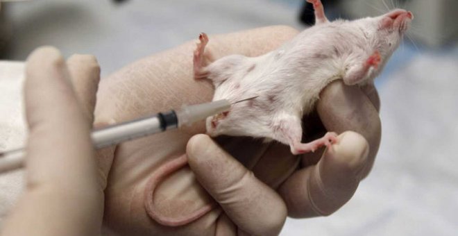 La Agencia de Protección Ambiental de EEUU anuncia que abandonará los experimentos con animales en 2035. / REUTERS