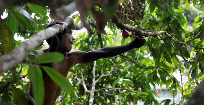 23/09/2019 - Un joven de la tribu indígena Tembe en Brasil / REUTERS (RICARDO MORAES)