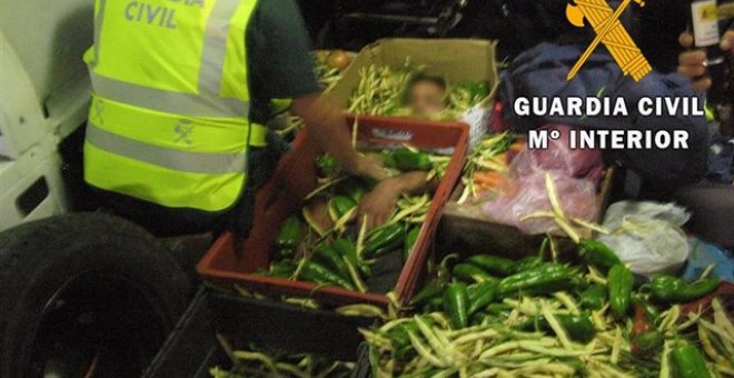 Momento en que la Guardia Civil auxilia al hombre oculto en el camión de hortalizas./ Guardia Civil