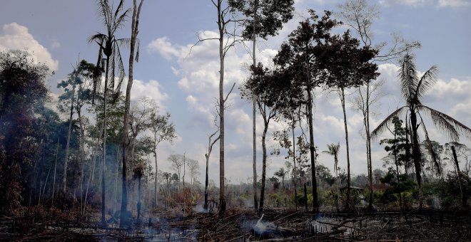 Así quedó la zona de Porto Velho en el estado de Rondonia tras los incendios de agosto. / AFP