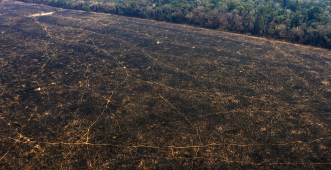 Así luce el suelo de la Amazonia en Porto Velho tras el paso de la deforestación y los incendios. / AFP