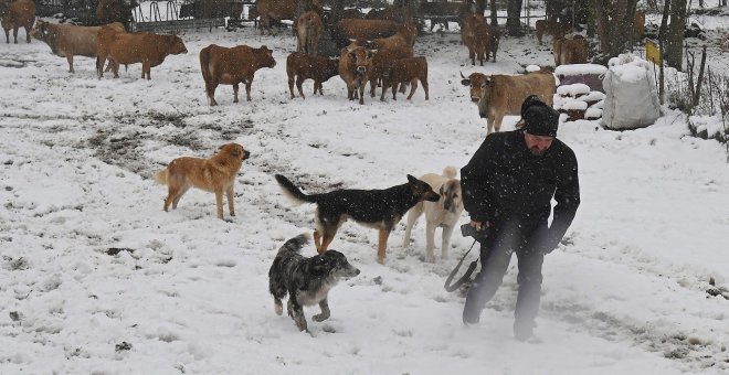 08/11/2019.- Un hombre junto a sus perros y ganado en la región de Pontedo que se encuenrta cubierta de nieve por el temporal que azota la región. EFE/J.Casares