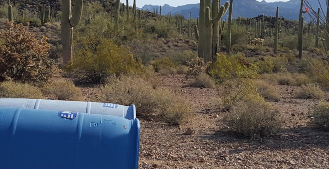 El parque nacional de Organ Pipe Cactus, situado en el lado estadounidense del desierto de Sonora, es una de las rutas que atraviesan los migrantes en su afán por alcanzar una vida mejor. Crédito: Steve Lee Saltonstall