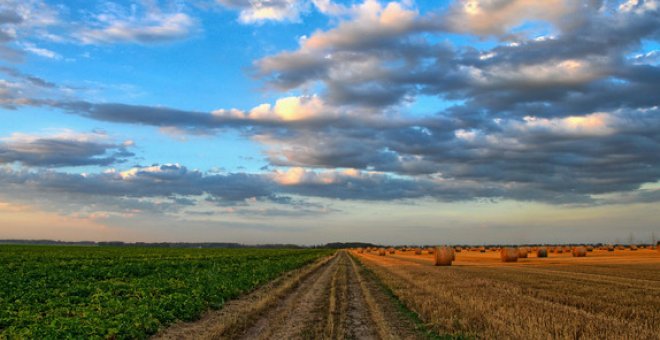 Imagen de archivo de un campo de cultivo/ Pixabay