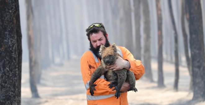 El rescatista de flora y fauna de la región australiana de Adelaida Simon Adamczyk sostiene en brazos a un koala después de haberle salvado del fuego | EFE