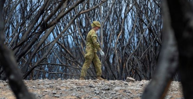 Un soldado retira vida silvestre del Santuario de Hanson en la Isla Canguro. Reuters