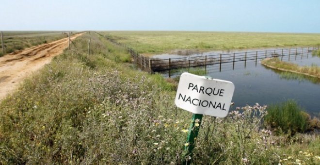 Foto de archivo del Parque Nacional de Doñana. EFE/Eduardo Abad