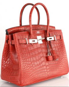 Imagen de un bolso Birkin Croco